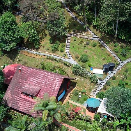Bosque De Niebla Birding & Nature Cali Exterior photo