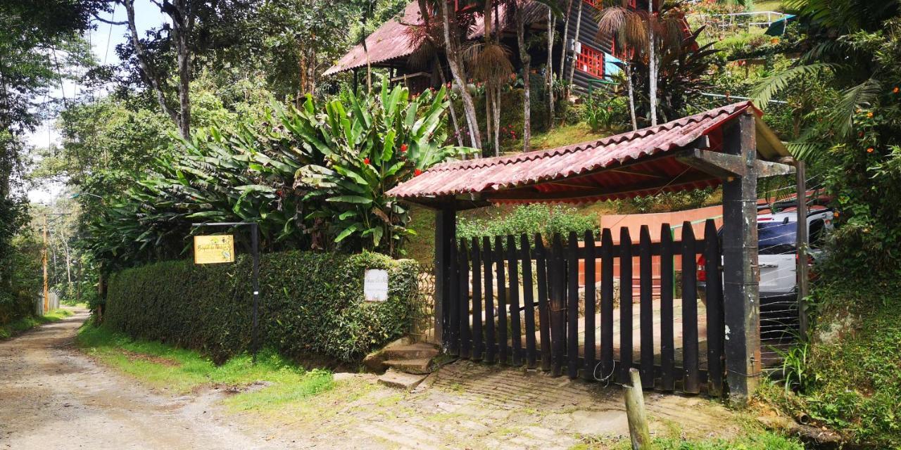 Bosque De Niebla Birding & Nature Cali Exterior photo