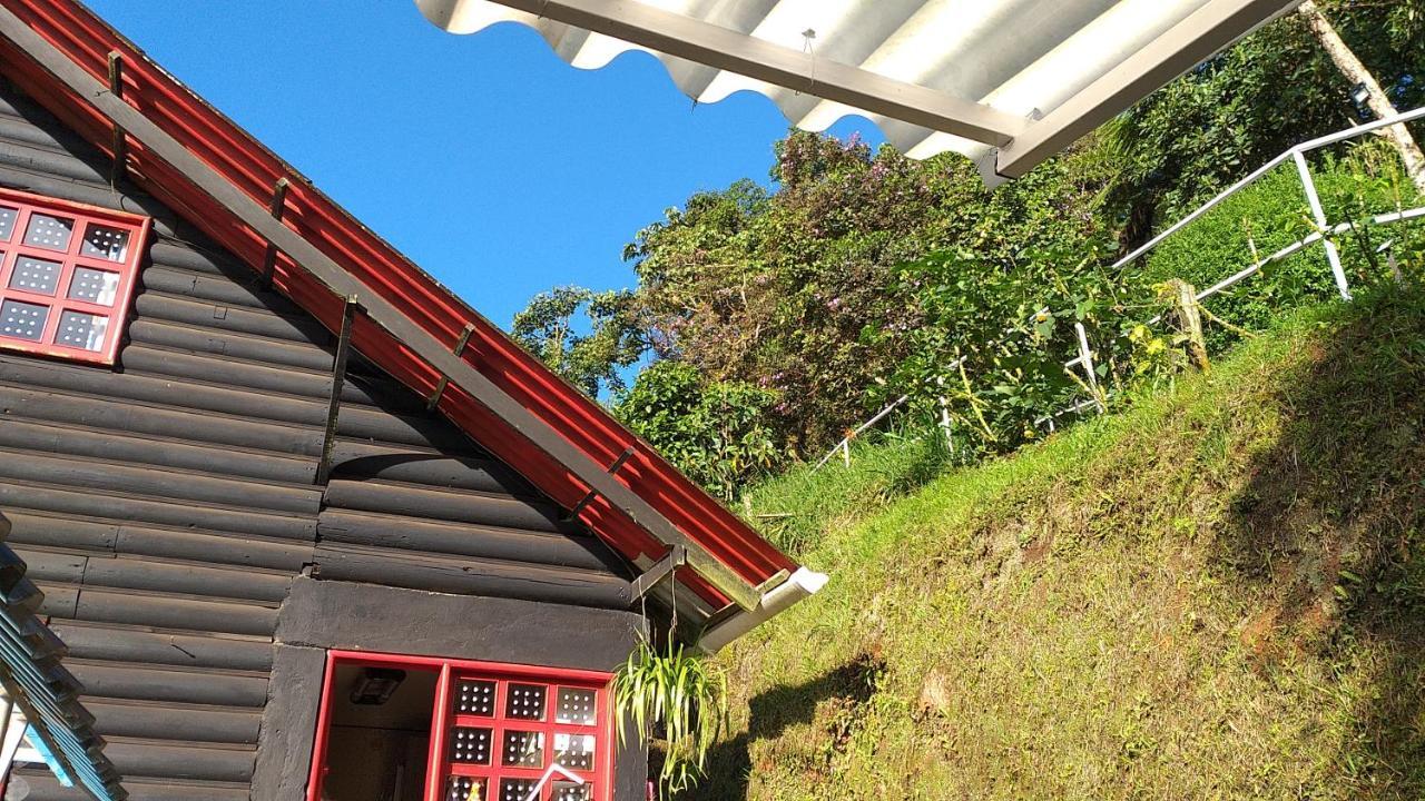 Bosque De Niebla Birding & Nature Cali Exterior photo