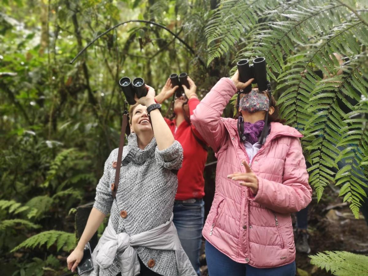 Bosque De Niebla Birding & Nature Cali Exterior photo