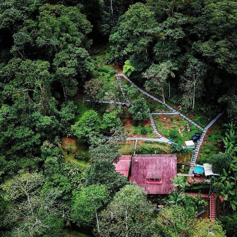 Bosque De Niebla Birding & Nature Cali Exterior photo
