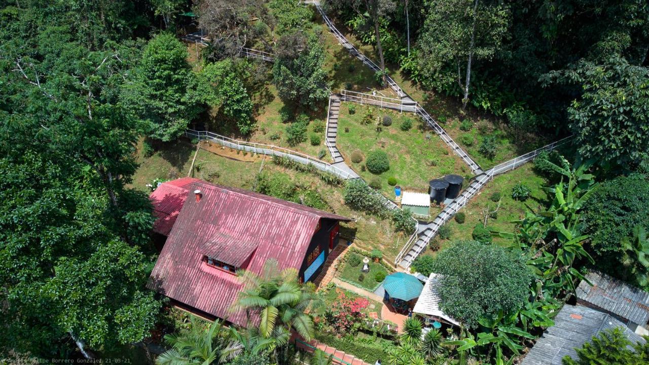 Bosque De Niebla Birding & Nature Cali Exterior photo