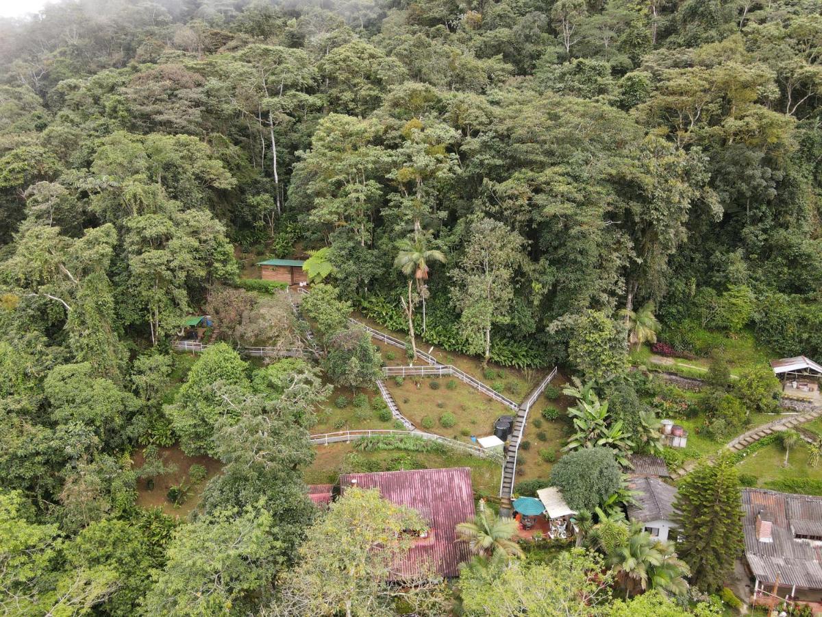 Bosque De Niebla Birding & Nature Cali Exterior photo