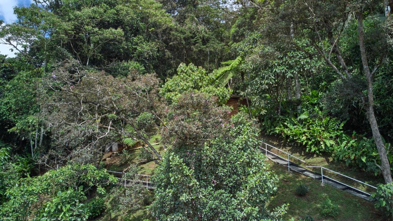 Bosque De Niebla Birding & Nature Cali Exterior photo